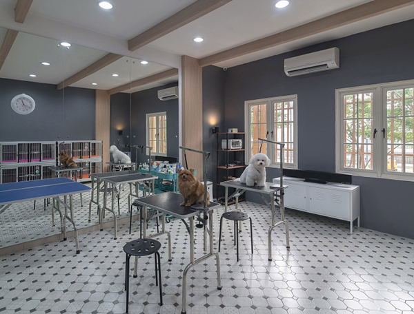 咖啡館寵物店裝修注意事項?